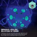 Discovery Jellyfish Aquarium Lamp ColorMorphing LED Bedroom Night Light with Remote| 15 Light Options| Lifelike Floating Jellyfish| Educational Learning Gift| Ages 8+
