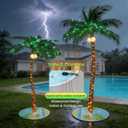 5ft&7ft Lighted Palm with Tree Skirt Set - 76&116 LED Lights with 14&16 Twinkling Lights & Glowing Coconuts, Tropical Decor for Indoor Outdoor Patio Garden Party