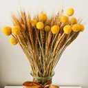 100pcs Dried Wheat Grass Decor & 15 Stems Yellow Billy Balls Buttons, Dried Flowers Bouquet, Fall Flowers Decoration, Wheat Stalks Bundles, Corn Stalks Wheat Decor Autumn Floral
