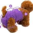 CuteBone Dog Diapers Female Washable Small Medium Large 3 Pack Reusable Doggie Diapers Puppy Period Pants for Doggy Heat Cycle Peeing Medium