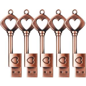Leizhan USB Flash Drive 64GB (5pack)