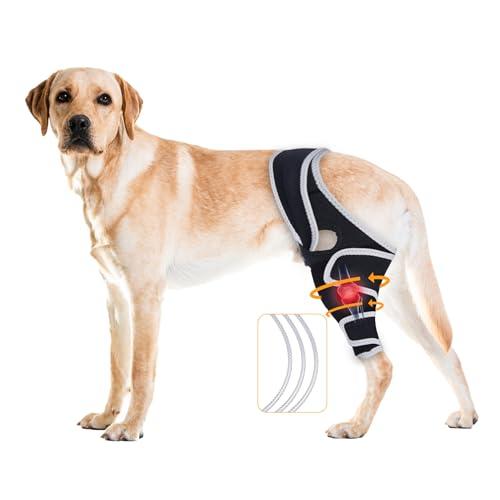 XUVIRA Dog Knee Brace for ACL and Ligament Injuries – Lightweight, Adjustable Support for Hind or Front Legs, Improves Mobility, Assists in Rehabilitation, and Helps Dogs Walk and Play Safely, XL