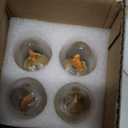 Hompavo Christmas Decorations - LED Flame Light Bulbs (2 Pack), 3W Flickering Fire Bulb, E26 Glass Shell for Halloween Party Patio Porch Home Indoor & Outdoor Decorations - 4