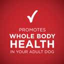 Purina ONE Natural Wet Dog Food Gravy, Tender Cuts in Gravy Beef and Barley Entre - 13 Ounce (Pack of 12)