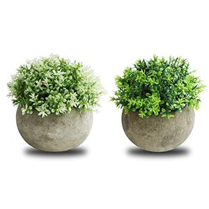 THE BLOOM TIMES 2 Pcs Fake Plants for Bathroom/Home Office Decor, Small Artificial Faux Greenery for House Decorations (Potted Plants)