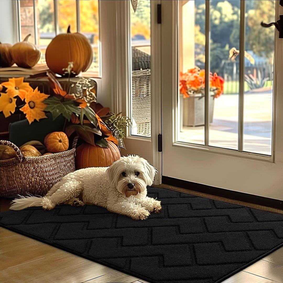 hicorfe Indoor Door Mat, Non Slip Door Mats,32"x48" Front Back Door Mat Rubber Backing, Absorbent Resist Dirt Entrance Inside Floor Mats for Entryway Washable Low-Profile (Black)
