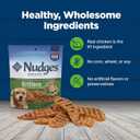 Blue Buffalo Nudges Grillers Natural Dog Treats, Made in the USA with Real Chicken, 16-oz Bag (EXP 01/10/27)
