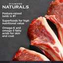 Diamond Naturals Large Breed Puppy Real Lamb Recipe Premium Dry Dog Food, 6 lb (6 Pound (Pack of 1))