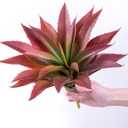 Veryhome Succulents Plants Artificial Aloe Plant, 12.5Inch Large Faux Succulents Unpotted, Premium Crafting DIY Greenery Decor for Indoor & Outdoor(Red)