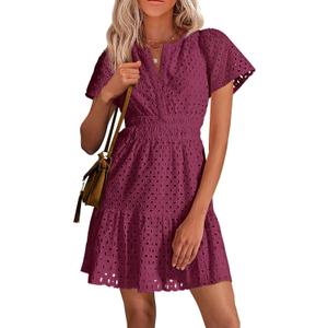 PRETTYGARDEN Womens 2026 Summer Short Dress V Neck Short Sleeve A Line Hollow Out Lace Cute Casual Beach Party Spring Dresses (S)