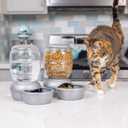 Petmate Replendish Gravity Waterer Cat and Dog Water Dispenser 0.5 GAL, Blue, Made in USA