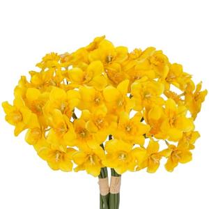 Briful 12 Stems Daffodils Artificial Flowers 2 Bunches Real Touch Fake Narcissus Flower 9in Silk Spring Fake Flowers Wedding Floral Decor Bouquet for Home Party Wedding Office Anniversary Decor,Yellow