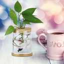 POPETPOP Hydroponic Vase Lid with Hole Wooden Cork Cover for Glass Planter Ventilated Hydroponic Plant Holder Compact 2.56 Inch Lid for Micro Landscape and Indoor Gardening