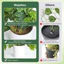 Waipfaru Fake Plants Artificial Plants Indoor, 2Pcs 34" Realistic Artificial Hanging Fake Pothos Vines Ivy Potted, Faux Pothos for Living Room Office Bedroom Bathroom Kitchen Shelves Indoor Home Decor