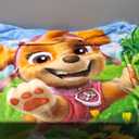 Franco Kids Bedding Super Soft Micro Raschel Throw, 46 in x 60 in, Paw Patrol Skye Girls, 