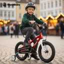 RoyalBaby Kids Bike Freestyle Classic 12 14 16 18 Inch Children Bicycle for Ages 3-10 Years Toddler to Big Kids, 16 Inch With Kickstand and Training Wheels