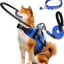 Blind Dog Halo Harness,Adjustable Halo Dog Collar with 5 FT Dog Leash & Reflective Collar,Bumper Halo for Protective & Build Confidence,Blind Dogs Accessories (M:Recommand Weight 23-40 lbs)
