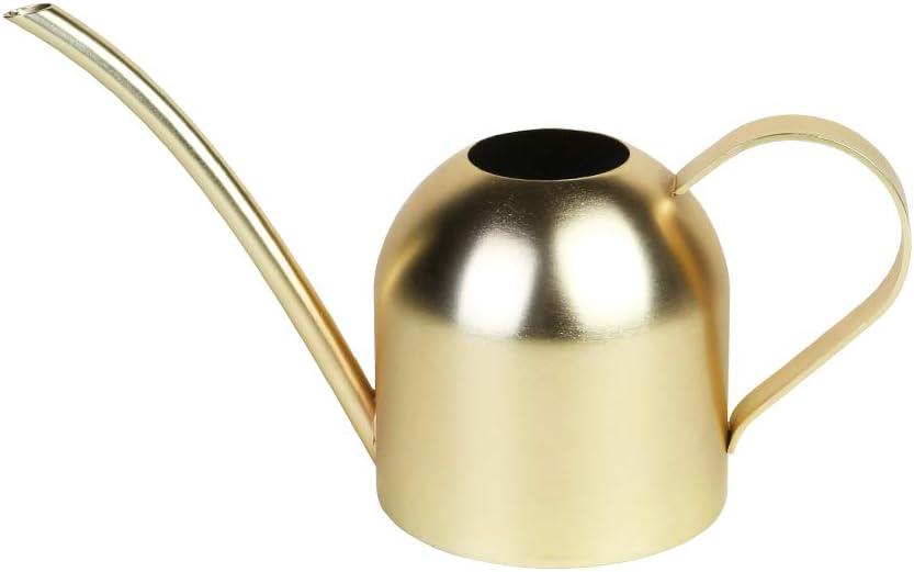 Stainless Steel Water Can for Indoor Plants and Garden (Gold 15 oz)