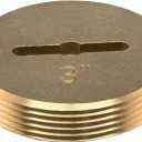 Eastman 3 Inch Slotted Brass Cleanout Plug, 42002