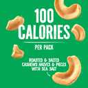 Emerald Nuts Roasted and Salted Cashews 7ct (1-Pack), 100-Calorie Individual Packs, Plant-Based Protein, Kosher Certified, Non-GMO, Contains No Artificial Preservatives, Flavors or Synthetic Colors (EXP 04/16/26)