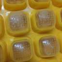 Brigii Ice Cube Tray with Lid&Bin, Ice Cube Mold with 56 Cubes, Stackable Ice Trays for Freezer with Easy-Release Silicone Bottom, for Drinks, Coffee, cocktail (Orange)