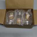 BlueStars G45 E26 Edison LED Filament Globe Bulb 120V 5W (60 Watt Equivalent), 2700K Warm White Light 550lm Non-Dimmable for Indoor Outdoor Holiday Home Decoration - 3 Packs