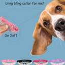 Bling Dog Collar for Small Medium Large Dogs, Crown Rhinestone Dog Collars for Girl and boy Dog, Diamond Puppy Collars, Adjustable Leather Suede SOFE Cat Collar (M(13"-15.4"/33CM-39CM), Black)