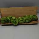 12 Pcs Artificial Chrysanthemums Flowers Green Flowers Silk Fake Mums Flowers for St Patricks Day Outdoor Wedding Table Centerpiece Home Decor (12, Green)