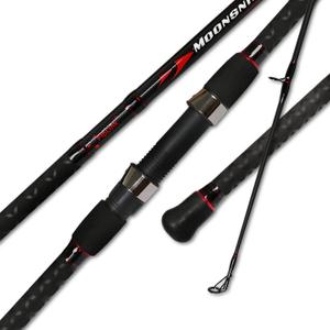 Fiblink Surf Casting Fishing Rod 2-Piece Graphite Travel Baitcasting Fishing Rod, Length: 9'