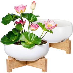 Baderke 2 Pcs Lotus Bowl Planter with Base Ceramic Hydroponic Planter Water Lily Bowl for Planting Aquatic and Indoor Plants Household Ceramic Basin Decor (White)