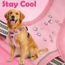 Funfox Dog Harness Medium No Pull, Adjustable 2 Clips Anti-Pull Vest with Practical Handle, Breathable Padded Pet Harness Designed for Small/Large Breeds, Reflective Training Walking Pink M