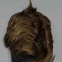 Kaneles Mens Short Brown Wig Synthetic Replacement Costume Halloween Natural Hair Wigs