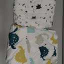 Baby Blankets for Boys, Dinosaur Super Soft Nursery Minky Blanket for Newborn Baby, Double Layer with Dotted Backing, Essentials Receiving Bed Throw Blanket Stroller Crib Shower Gifts, 30 x 40 Inch