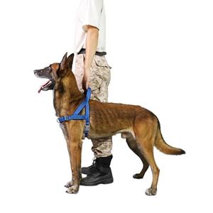 S-ETOVUS No Pull Dog Harness, Reflective Puppy Harness with Soft Padded Handle, Escape Proof/Quick Fit Adjustable Pet Harness for Small Medium Large Dogs, Easy for Training Walking (Blue, XS)