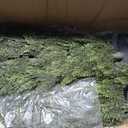 Artificial Cedar Topiary Trees, 6 FT UV Resistant Faux Boxwood Plants,Front Porch Decorations Outdoor,Realistic Evergreen Cypress for Patio Decor Set of 2