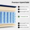 MEGAYES Folding Sofa Bed Convertible 4 in 1 Sleeper Chair Blue Twin XL