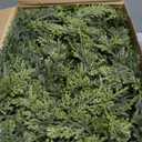 Waydress 2 Pcs 6ft Christmas Cedar Garland Artificial Realistic Soft and Thickness Green Faux Fake Full Cedar Pine Garland for Fireplace Mantel Table Doorframe Indoor Outdoor Xmas Holiday Decoration