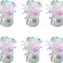 balloon weights are perfect for parties, birthdays, weddings. Each pack includes 6PCS durable weights that easily decorate balloons and elevate any celebration. (Lridescent 6pcs)