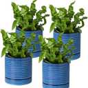 Hasense Small Plant Pots, 4.6 Inch Porcelain Planters with Drainage Holes and Tary, Mini Pots for Flower, Succulents, Cactus, Herbs, Modern Blue Decorative for Home Kitchen Office, Set of 4