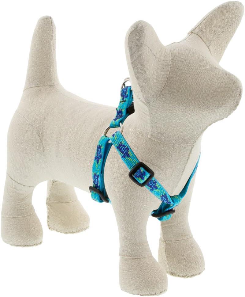LupinePet Originals 1/2" Turtle Reef 12-18" Step in Harness for Small Dogs
