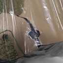 Airsoft Helmet,Black Tactical Helmet,Airsoft Mask Mesh,Elastic Balaclava Mask, Anti Fog Airsoft Goggles, Tactical Full Face Protection, Airsoft Accessories,Military Gear (A/PJ-Camo)