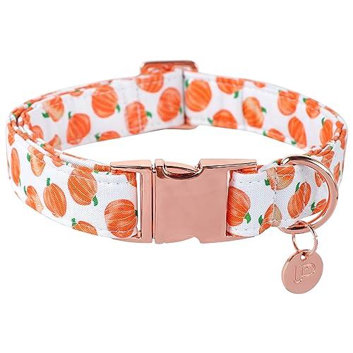 UP URARA PUP Halloween Dog Collar with Metal Buckle Gift Fall Dog Collar for Small Medium Large Girls or Boys Dogs Cute Pumpkin Cotton Pet Collars 4 pack