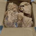 Heavy Beer Mugs Set, 16oz Glass Mugs With Handle, Beer Glasses For Freezer, 500ml Beer Drinking Glasses, Traditional Stein For Bar, Alcohol, Beverages, Coffee, Teas, Set of 4