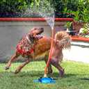 The Wave - The Ultimate Interactive Water Toy for Dogs