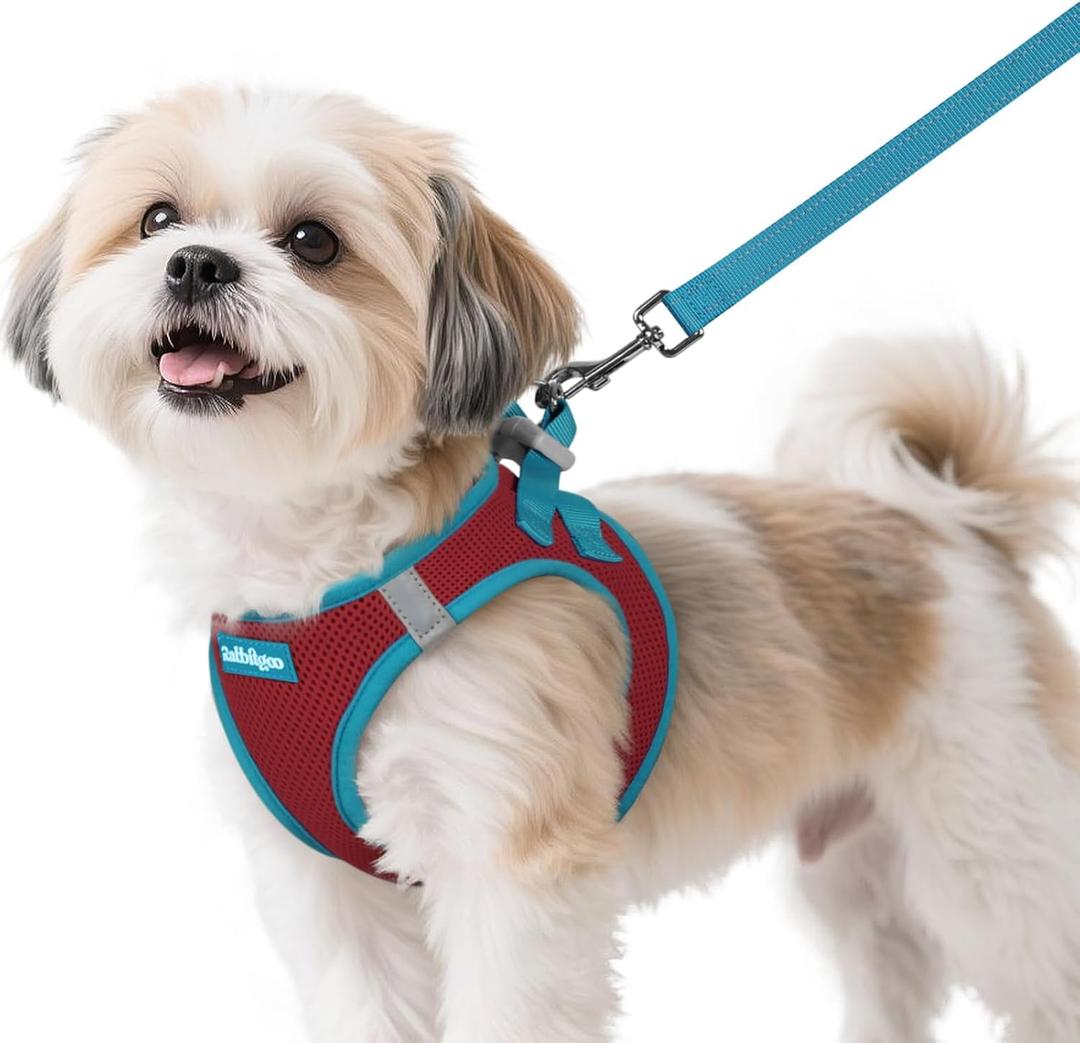 Rabbitgoo Dog Harness Small Sized and Leash Set, Step-in Breathable Pet Harness, Soft Walking Reflective Puppy Vest for Small Dogs, Red & Teal, S