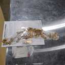 Vintage Full Length Mirror, 81"x41" Floor Mirror with Carved, Full Body Mirrors for Home Decor, Standing/Hanging Large Wall Mirrors for Bedroom/Living Room/Entryway, Gold, Retro Style