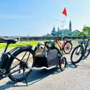 Burley Tail Wagon | Lightweight Dog Bike Trailer with Mesh Windows, Removable Floor & Low-Clearance Entry