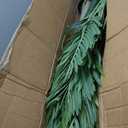 8.5ft Artificial Golden Cane Palm Tree - Large Triple Fake Palm Tree in Pot for Indoor/Outdoor, Patio, Pool, Big House, Office, Backyard, Home Decor - Green, Extra Tall