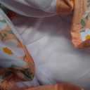 Pet Parents Washable Dog Diapers (3pack) + Extendrs of Durable Doggie Diapers, Premium Dog Diapers Female (X-Large, Daisy)