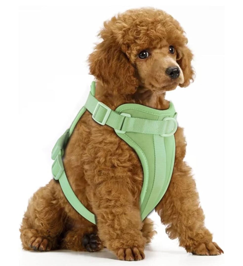 Wisedog No Pull Lightweight Dog Vest Harness with Soft and Comfortable Cushion, Breathable Mesh, for Small Dogs Walking (S(Neck: 9.84"-14.17"; Chest: 14.17"-22.05"), Sage Green)